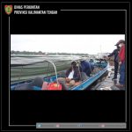 ba687773-3938-4edd-8f85-92aa393cb688