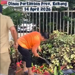 Screenshot 2026-04-14 163150